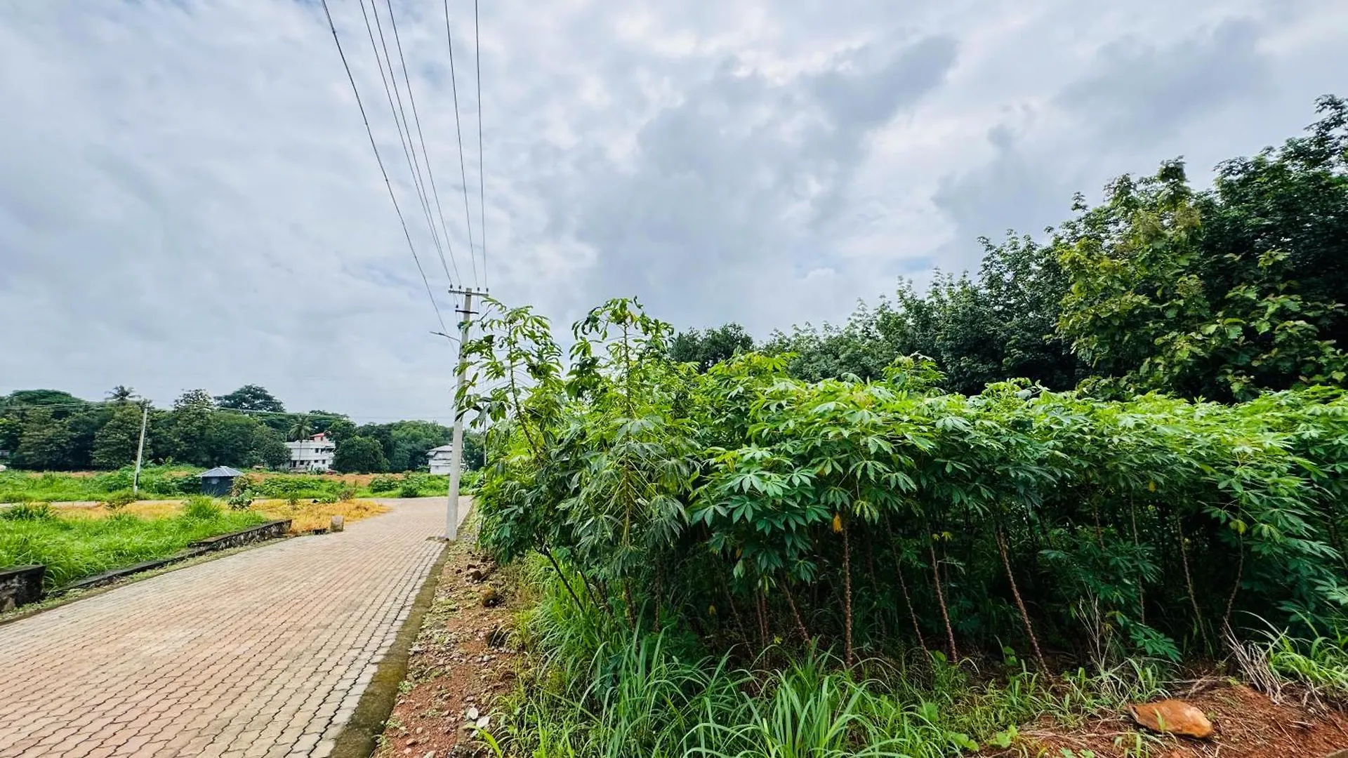 Rose Garden At Rajagiri Hospital Appartement Kochi